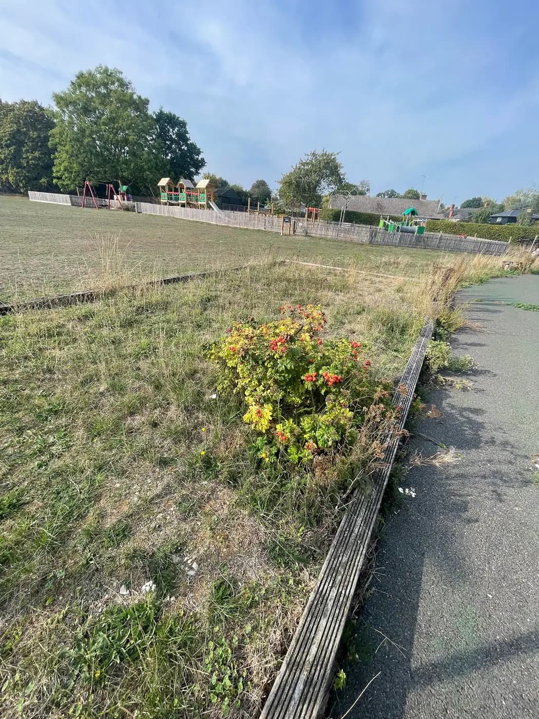 The disused pétanque piste in Wetherden — a timber-edged rectangle overgrown with grass and weeds, beside the tennis court and playing field.