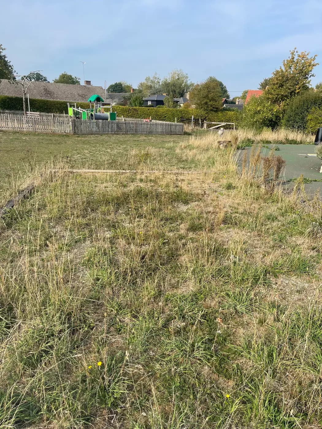 The disused pétanque piste in Wetherden — a timber-edged rectangle overgrown with grass and weeds, beside the tennis court and playing field.
